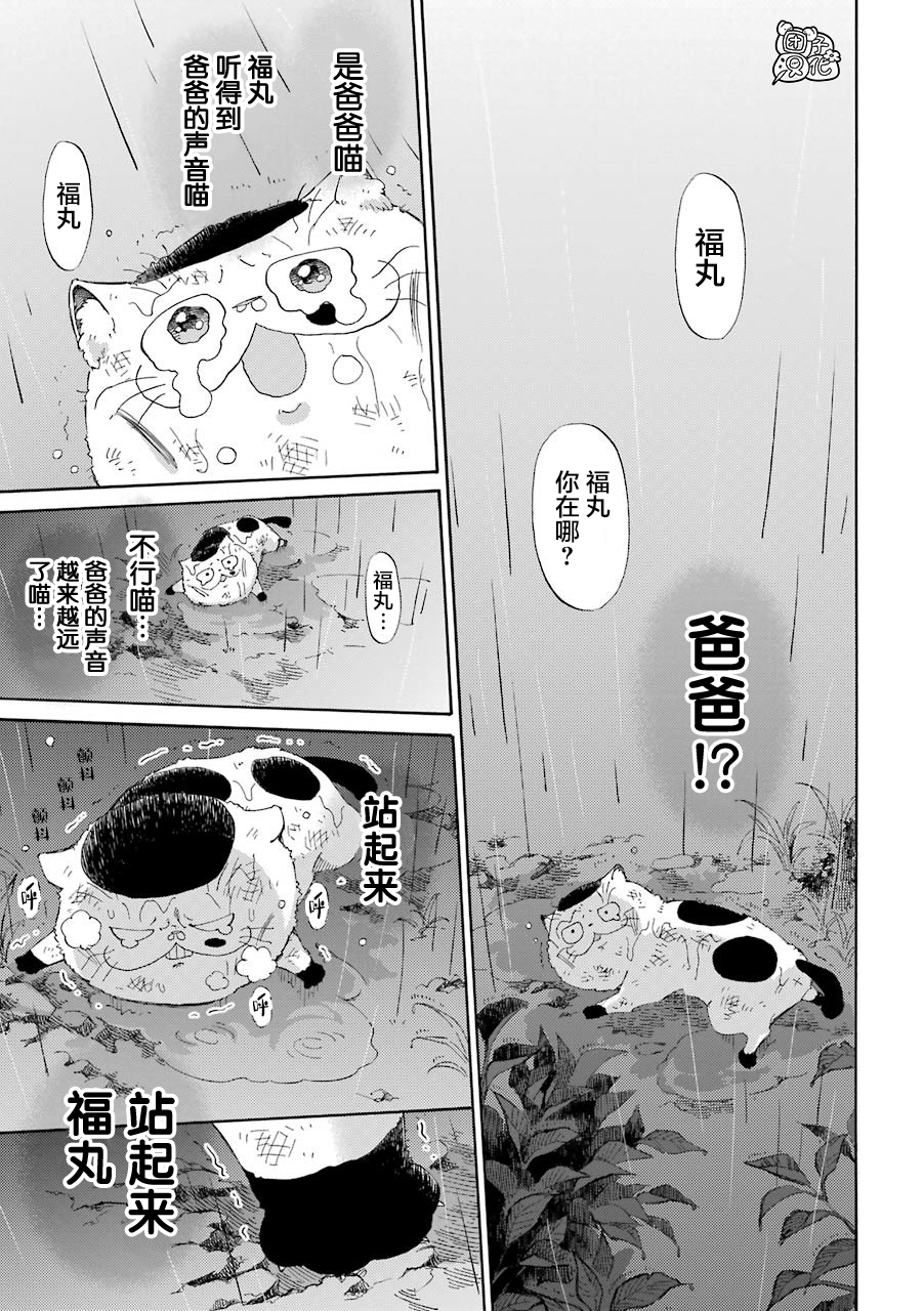 《大叔与猫》漫画最新章节第54话免费下拉式在线观看章节第【11】张图片