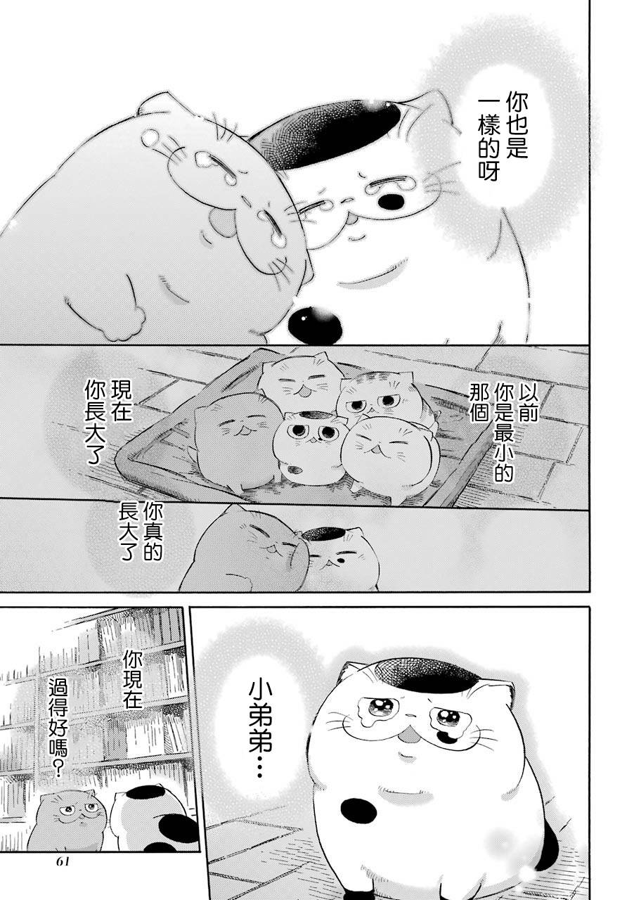 《大叔与猫》漫画最新章节第42话免费下拉式在线观看章节第【9】张图片