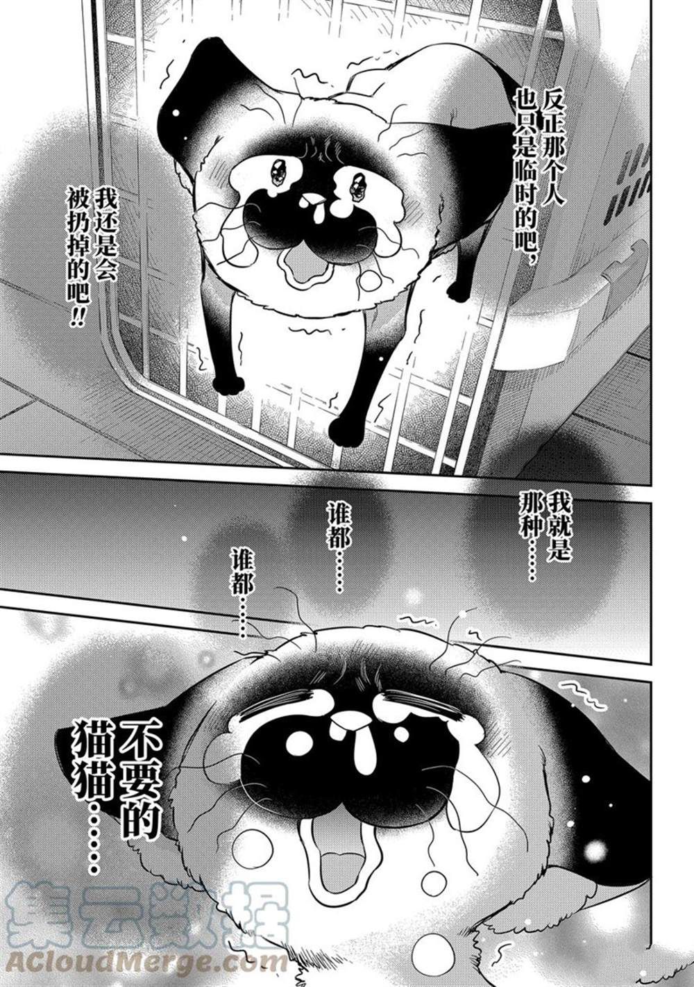 《大叔与猫》漫画最新章节第91话 试看版免费下拉式在线观看章节第【13】张图片