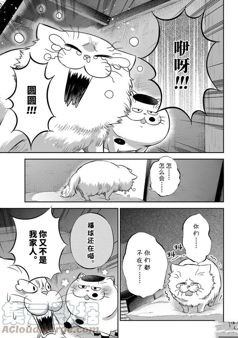 《大叔与猫》漫画最新章节第96话 试看版免费下拉式在线观看章节第【15】张图片