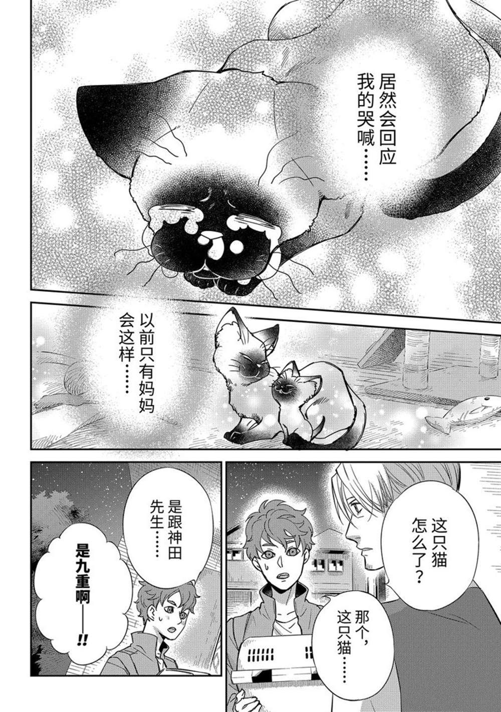 《大叔与猫》漫画最新章节第87话 试看版免费下拉式在线观看章节第【20】张图片