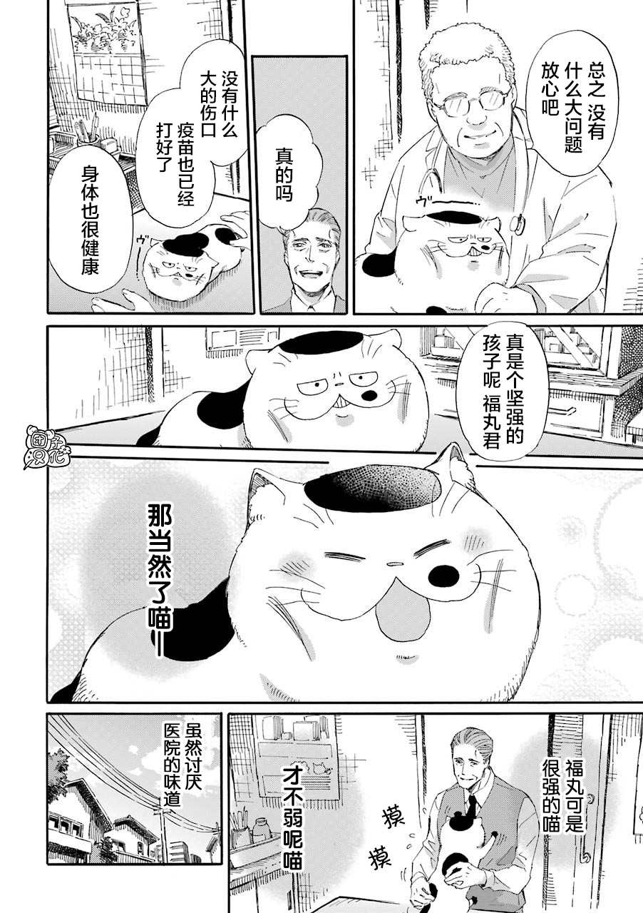 《大叔与猫》漫画最新章节第55话免费下拉式在线观看章节第【4】张图片