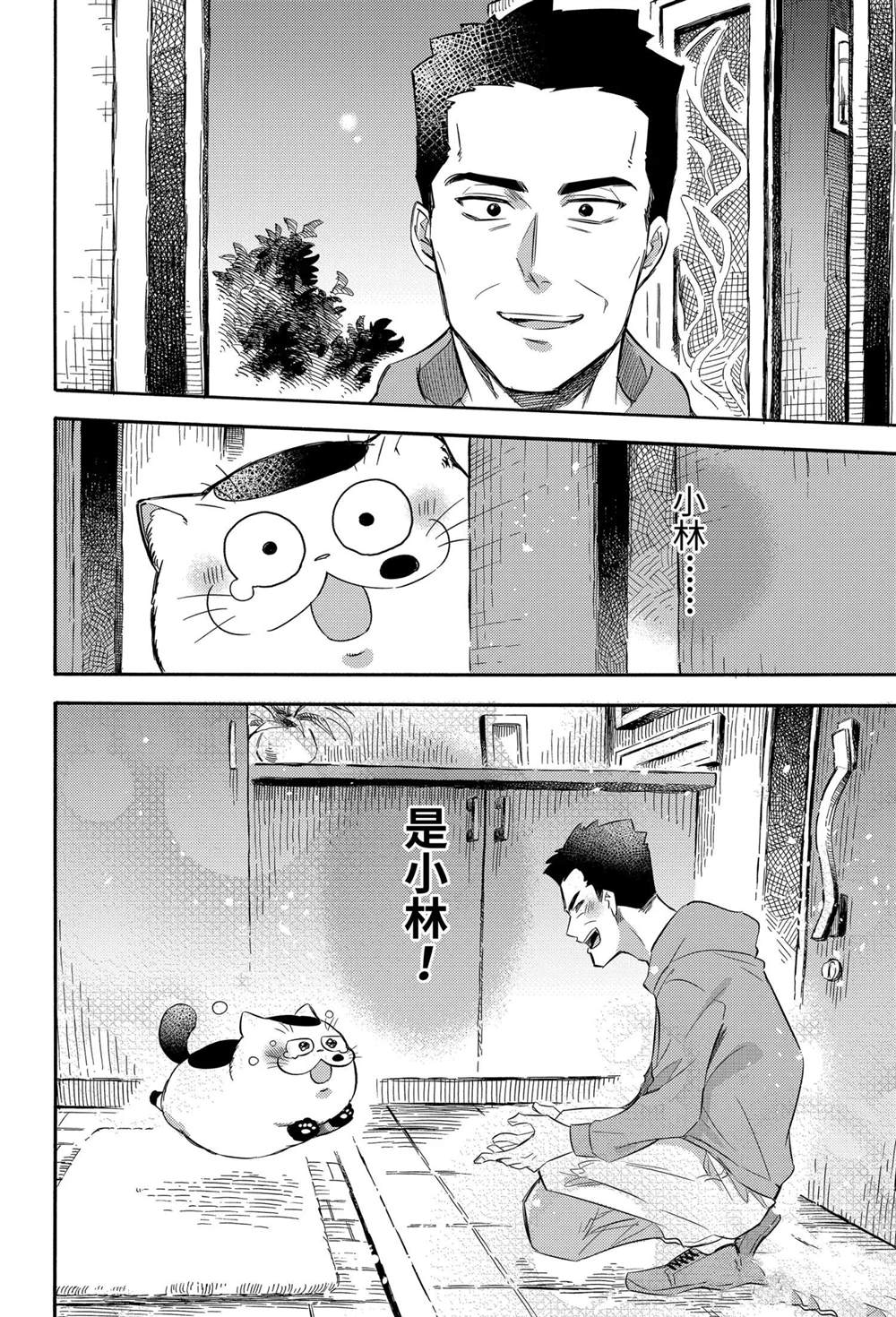 《大叔与猫》漫画最新章节第74话 试看版免费下拉式在线观看章节第【13】张图片