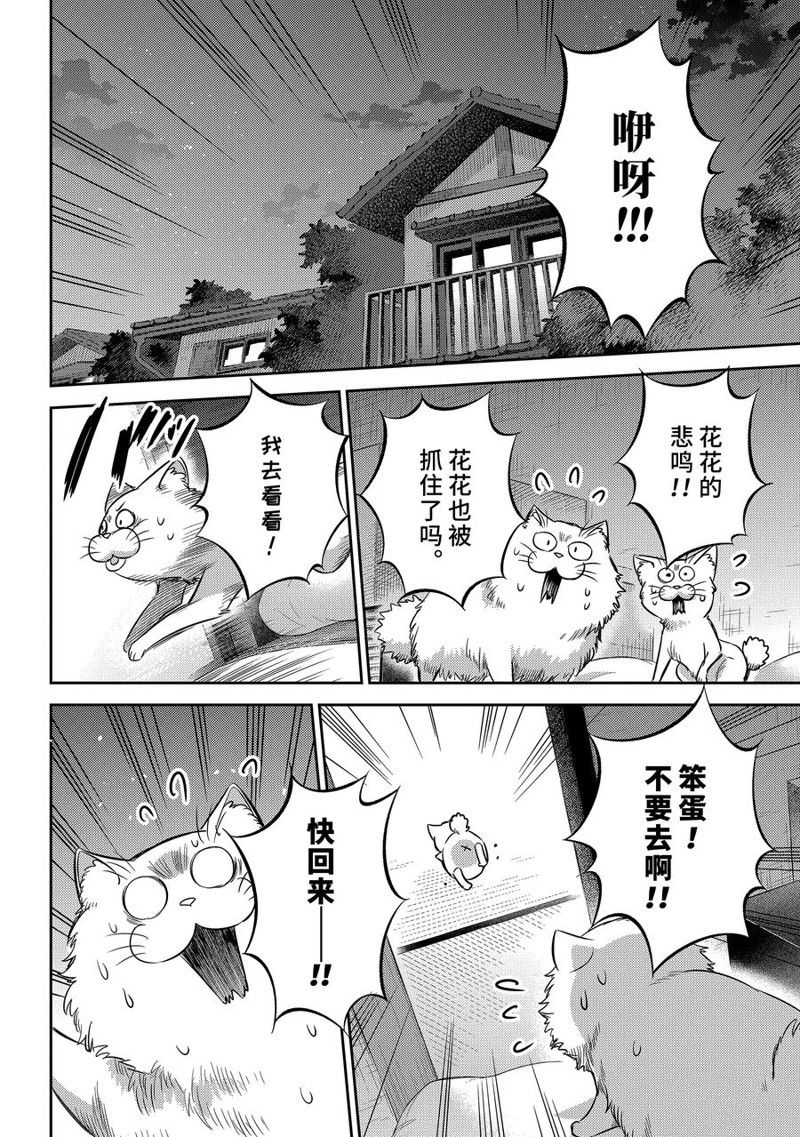 《大叔与猫》漫画最新章节第96话 试看版免费下拉式在线观看章节第【14】张图片