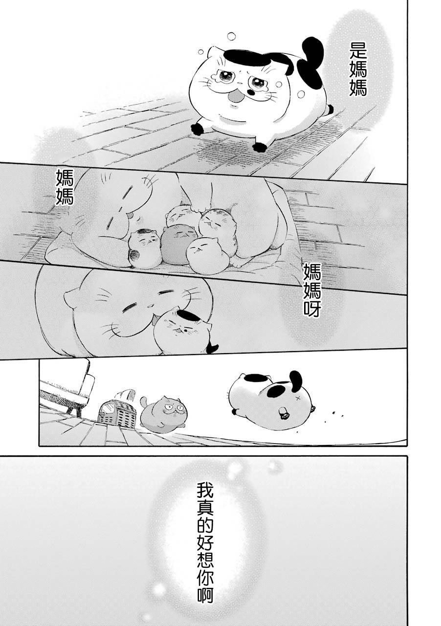 《大叔与猫》漫画最新章节第42话免费下拉式在线观看章节第【7】张图片