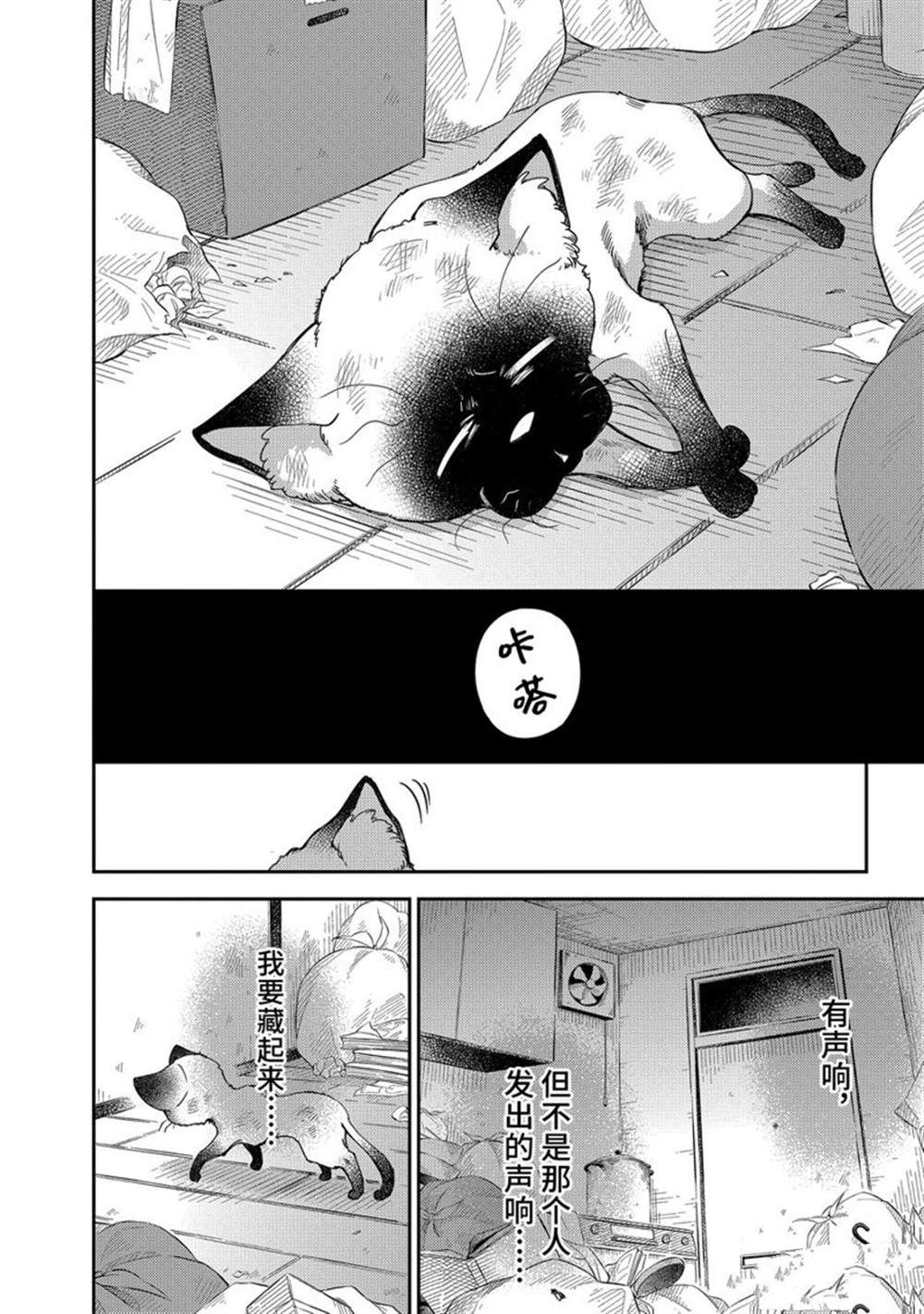 《大叔与猫》漫画最新章节第87话 试看版免费下拉式在线观看章节第【4】张图片