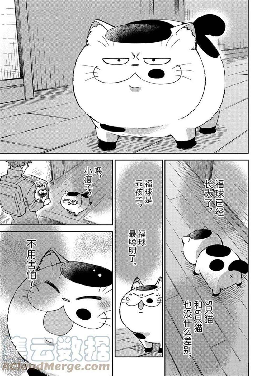 《大叔与猫》漫画最新章节第88话 试看版免费下拉式在线观看章节第【7】张图片