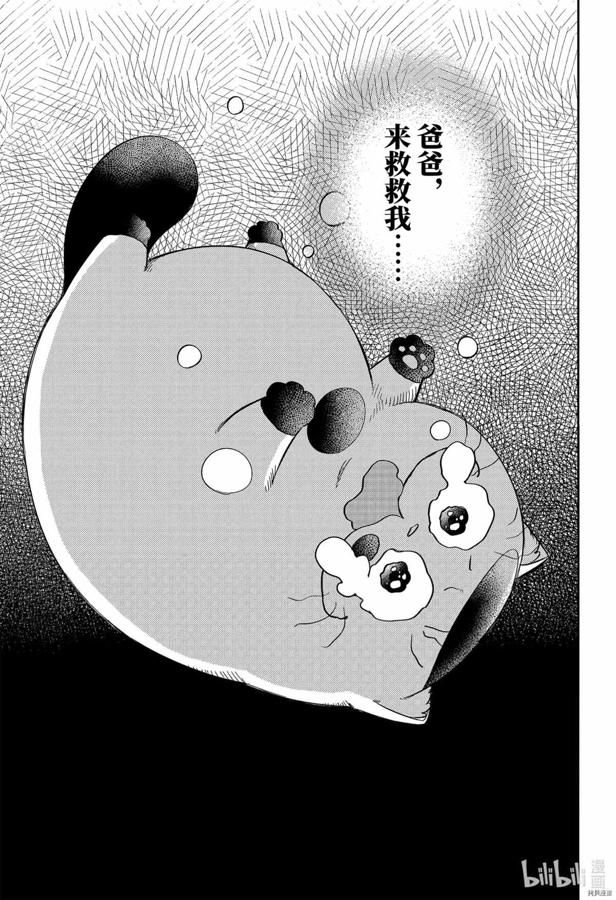 《大叔与猫》漫画最新章节第82话 试看版免费下拉式在线观看章节第【17】张图片