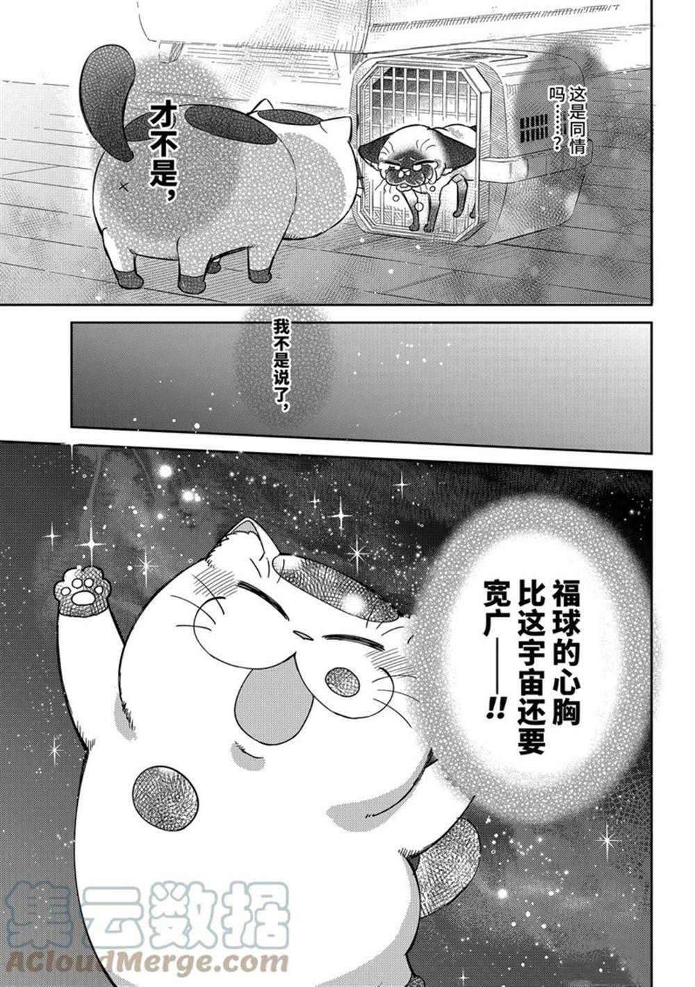 《大叔与猫》漫画最新章节第91话 试看版免费下拉式在线观看章节第【17】张图片