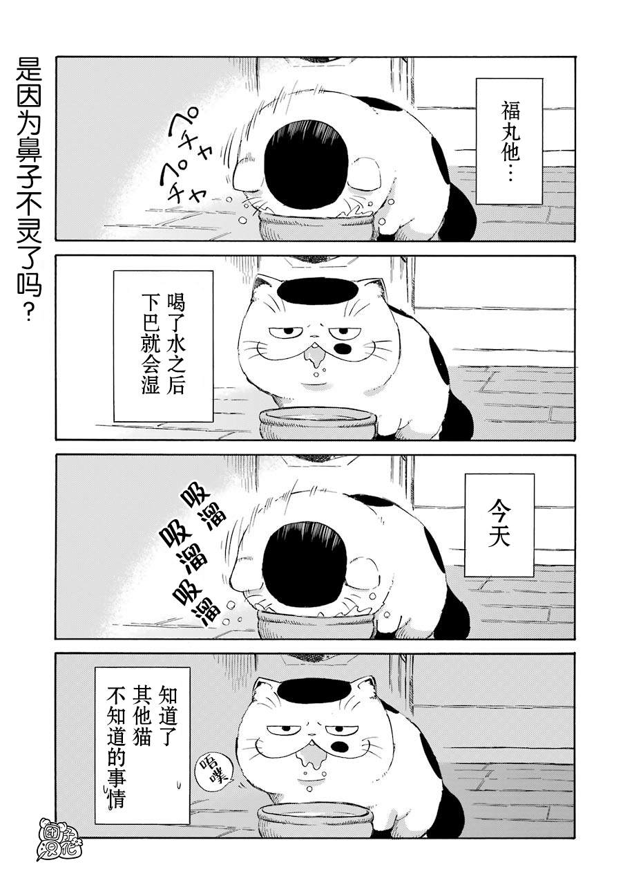 《大叔与猫》漫画最新章节第54.1话免费下拉式在线观看章节第【13】张图片