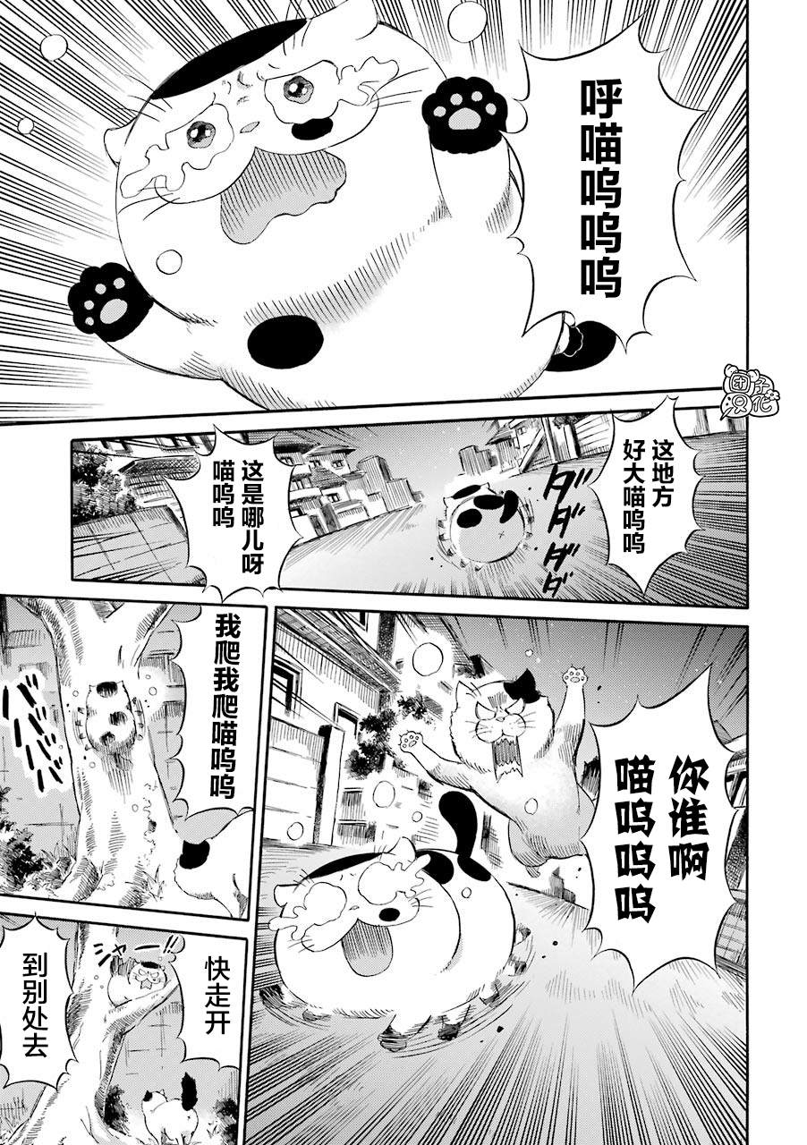 《大叔与猫》漫画最新章节第50话免费下拉式在线观看章节第【3】张图片