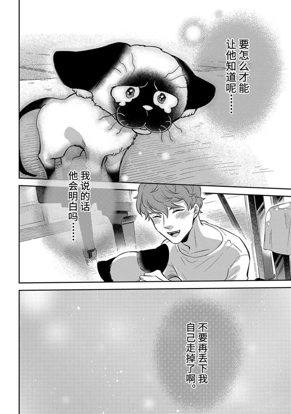 《大叔与猫》漫画最新章节第90话 试看版免费下拉式在线观看章节第【20】张图片