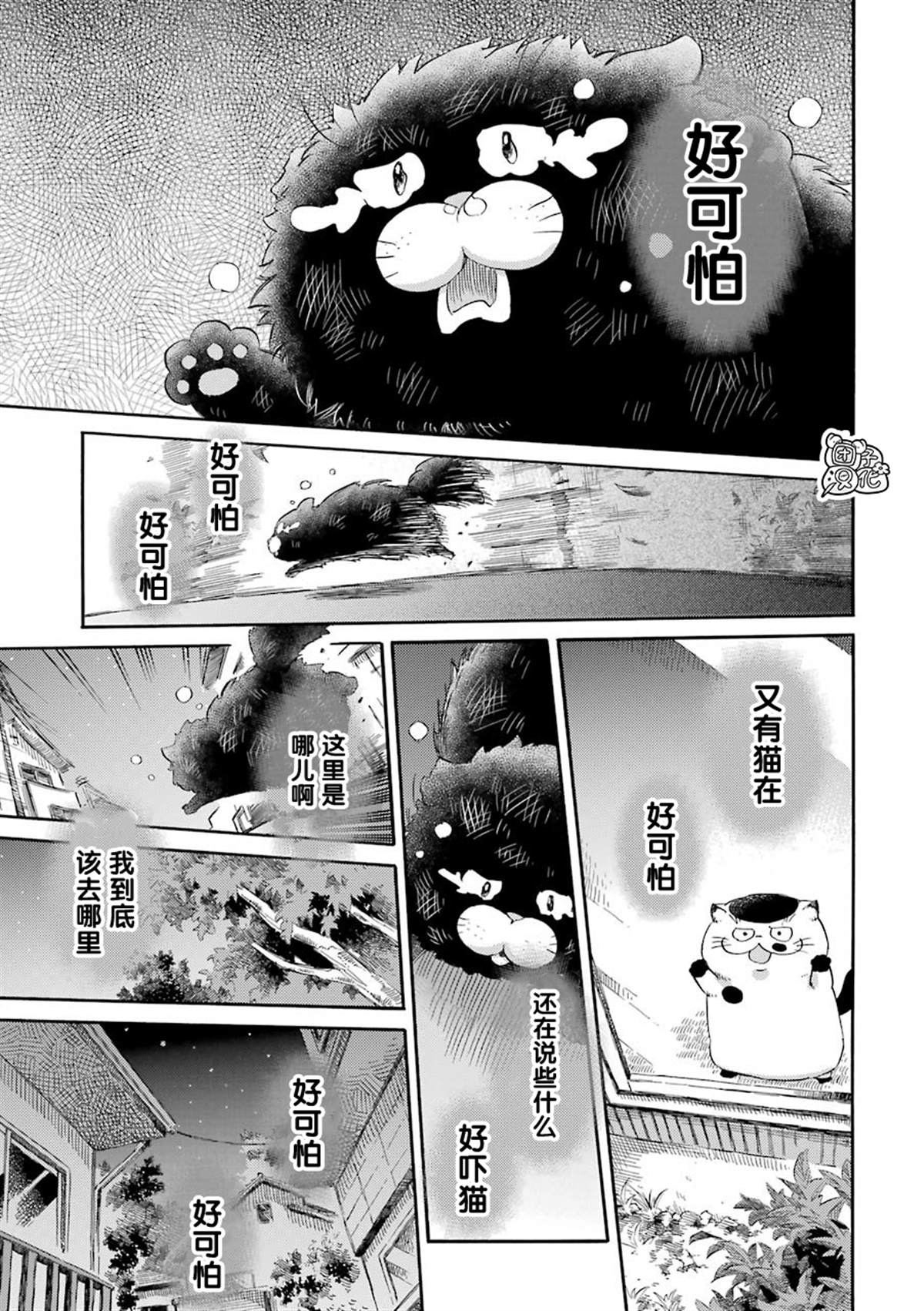 《大叔与猫》漫画最新章节第48话免费下拉式在线观看章节第【11】张图片