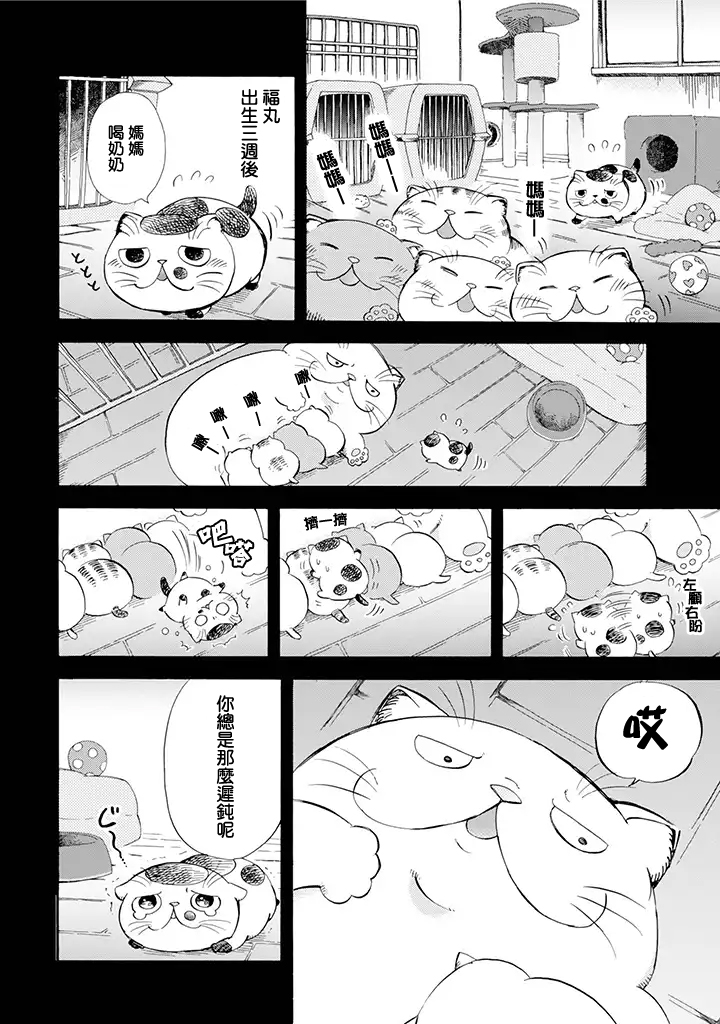 《大叔与猫》漫画最新章节第8话免费下拉式在线观看章节第【2】张图片