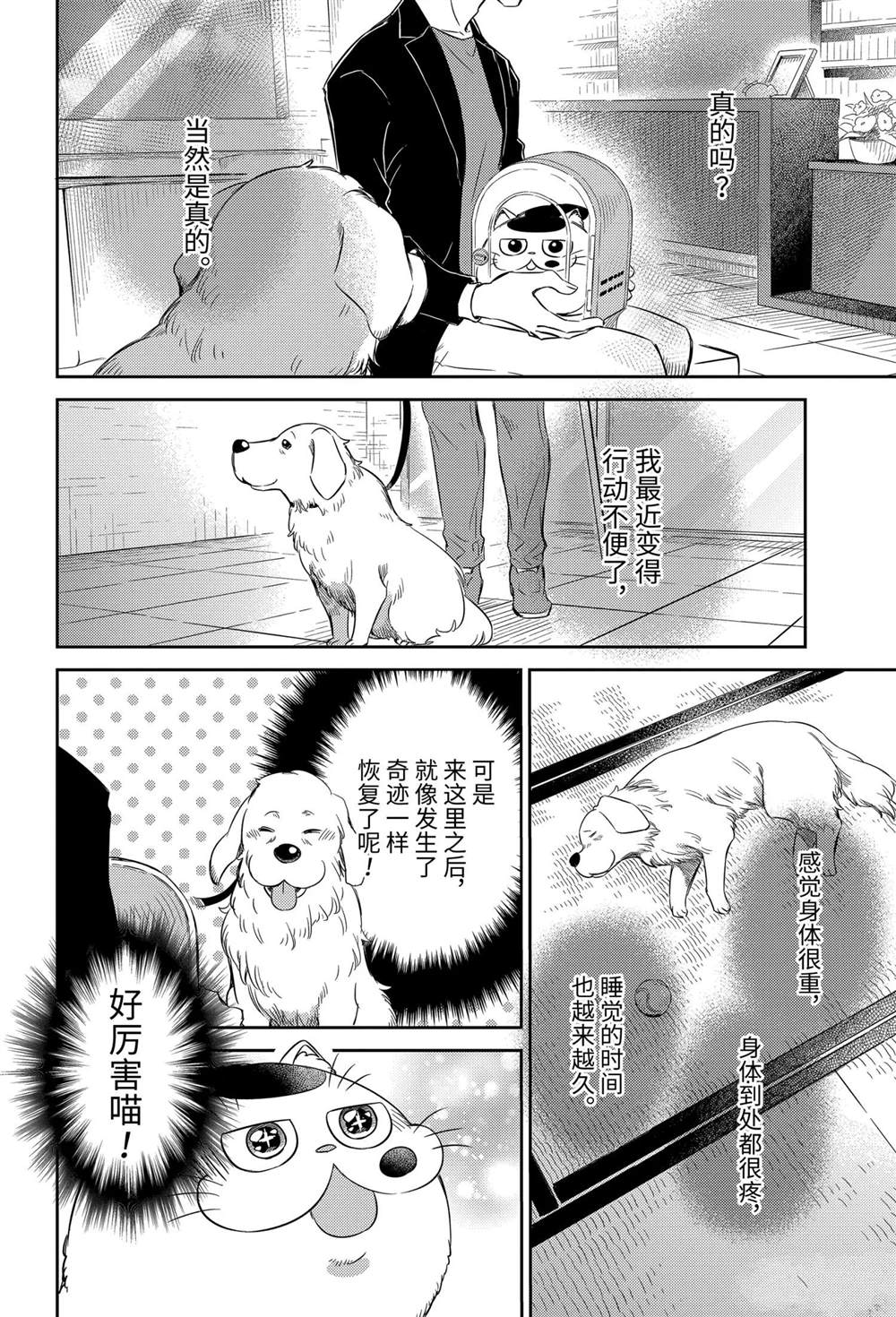 《大叔与猫》漫画最新章节第81话 试看版免费下拉式在线观看章节第【18】张图片