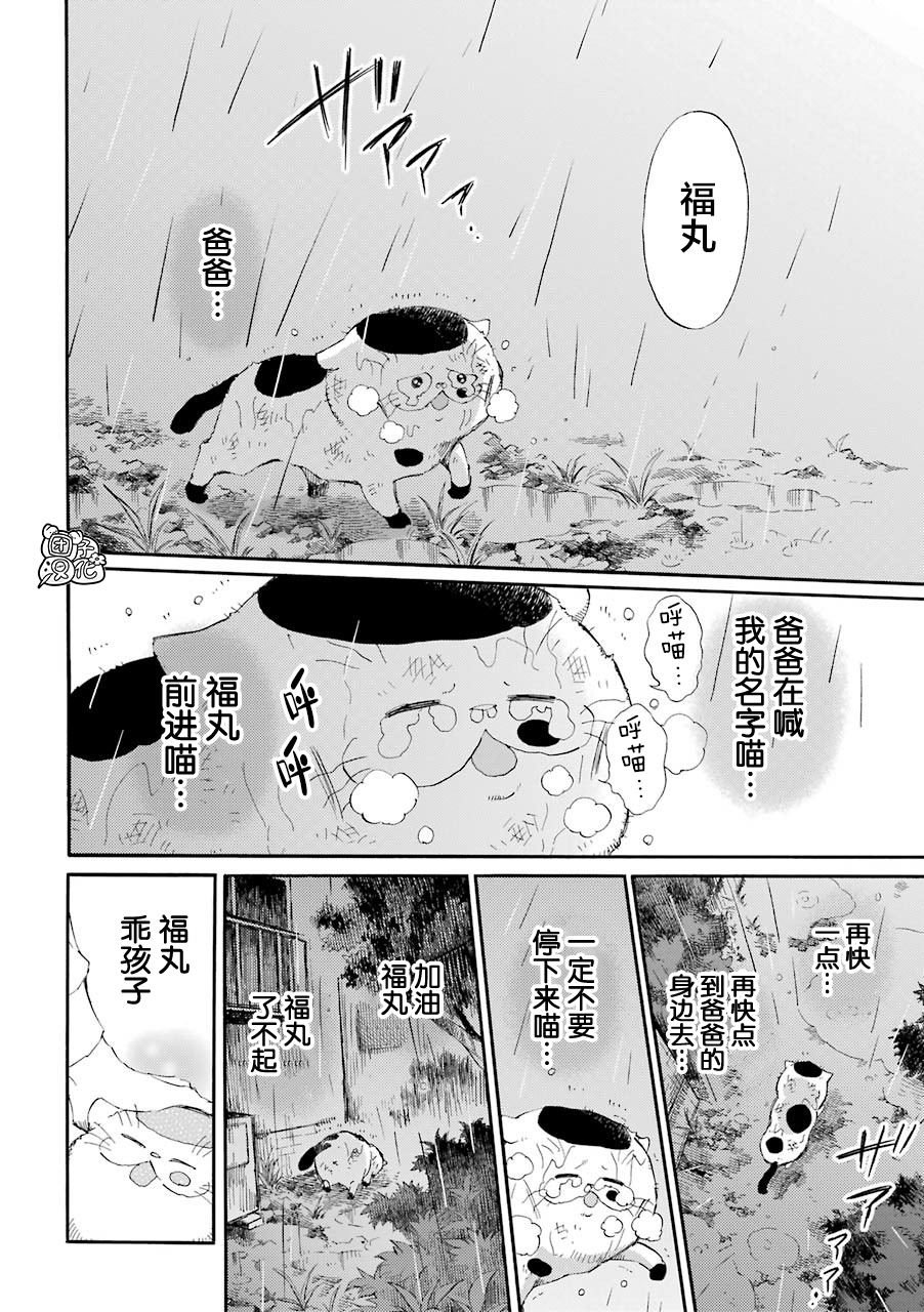 《大叔与猫》漫画最新章节第54话免费下拉式在线观看章节第【16】张图片