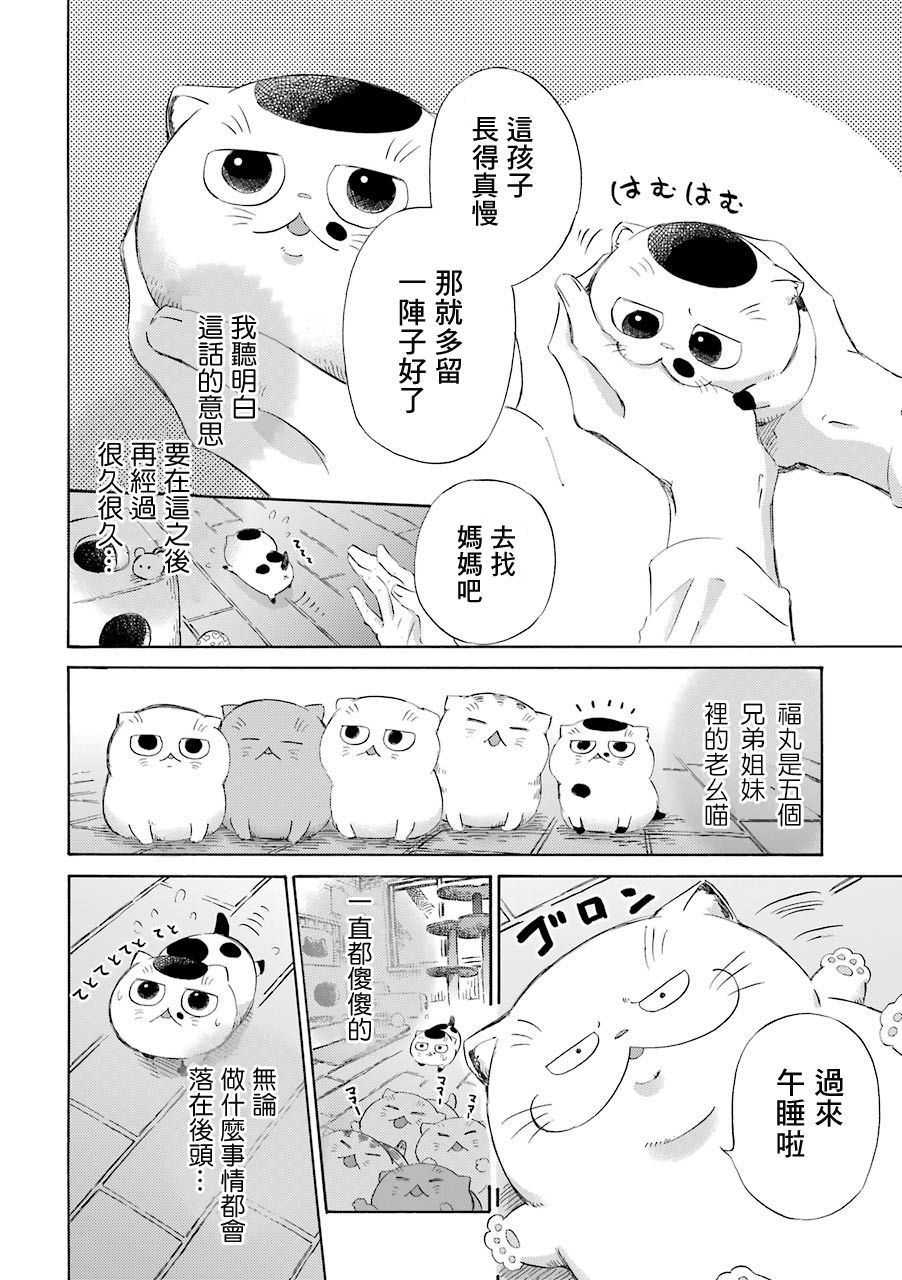 《大叔与猫》漫画最新章节第36.1话免费下拉式在线观看章节第【2】张图片