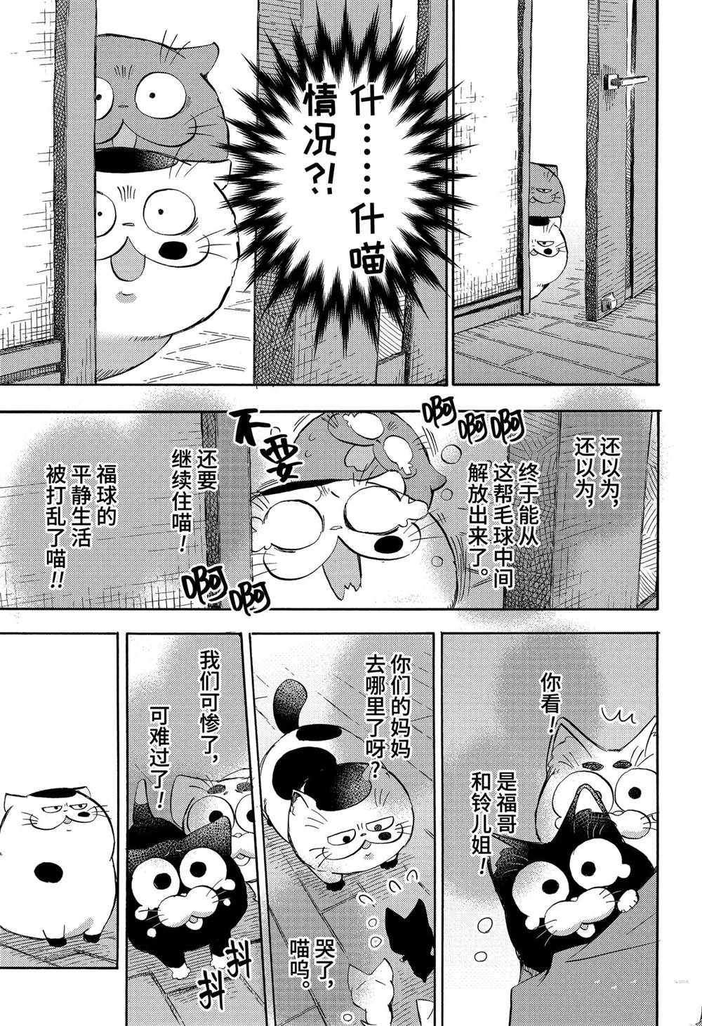 《大叔与猫》漫画最新章节第72话 试看版免费下拉式在线观看章节第【13】张图片