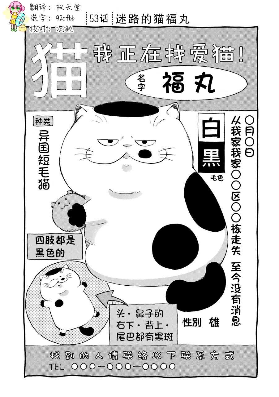 《大叔与猫》漫画最新章节第53话免费下拉式在线观看章节第【1】张图片