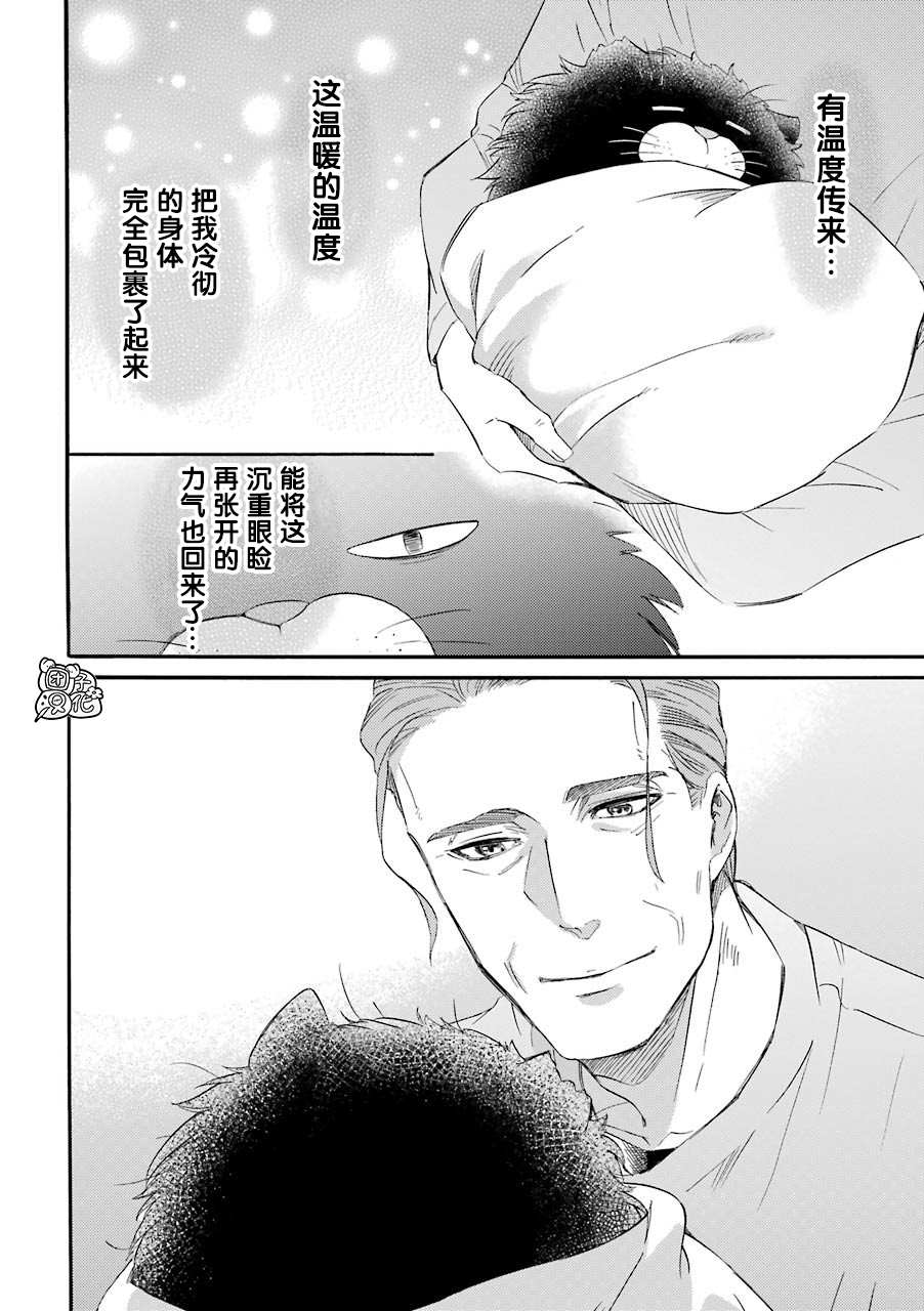 《大叔与猫》漫画最新章节第51话免费下拉式在线观看章节第【2】张图片