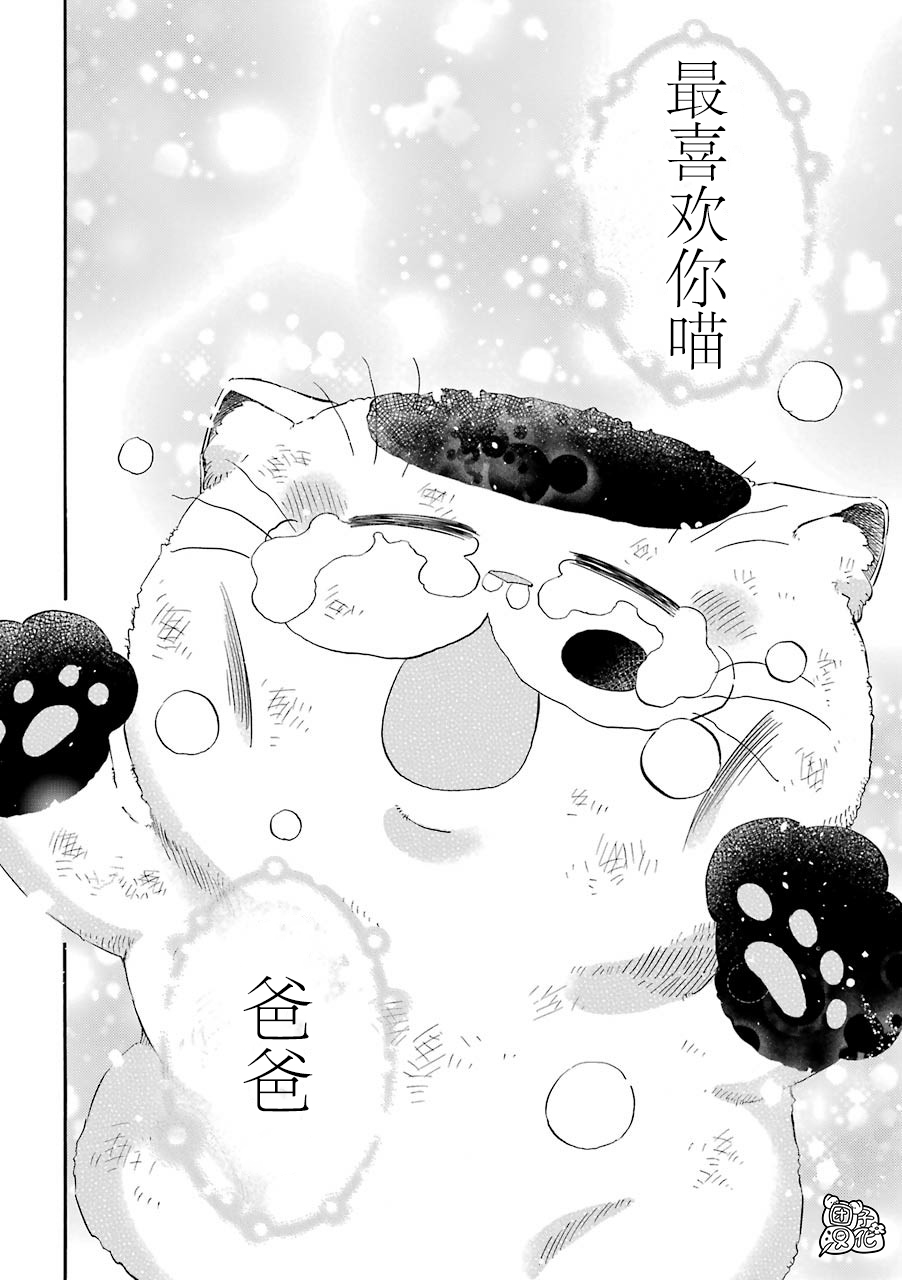 《大叔与猫》漫画最新章节第54话免费下拉式在线观看章节第【25】张图片