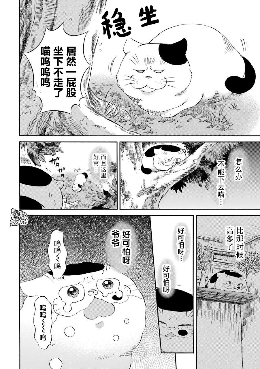 《大叔与猫》漫画最新章节第50话免费下拉式在线观看章节第【4】张图片