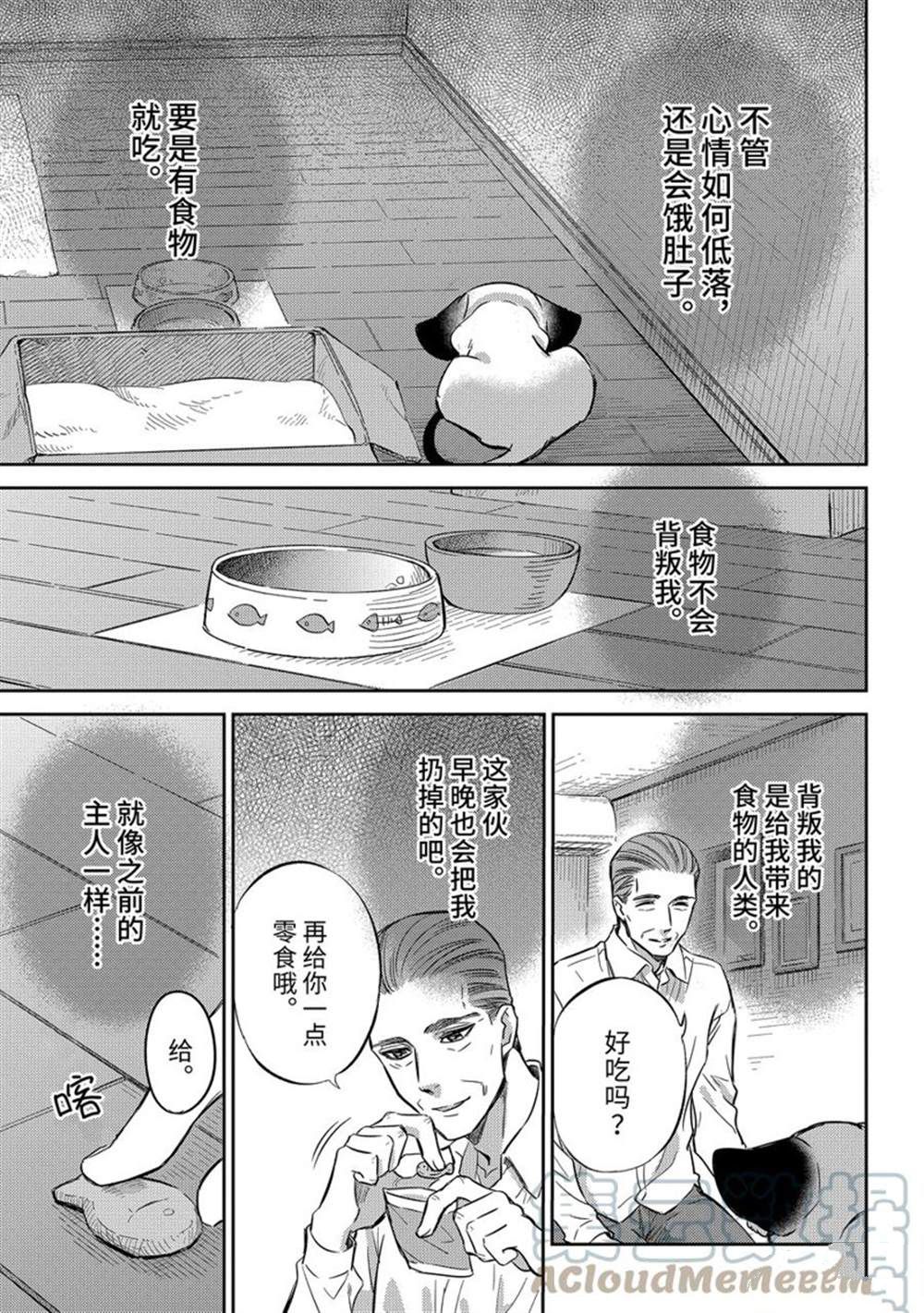 《大叔与猫》漫画最新章节第91话 试看版免费下拉式在线观看章节第【3】张图片