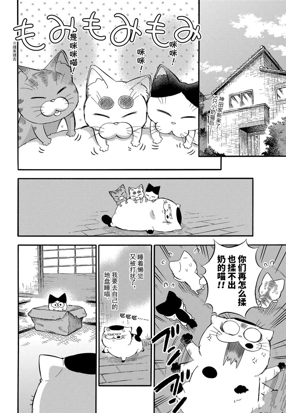 《大叔与猫》漫画最新章节第73话 试看版免费下拉式在线观看章节第【2】张图片