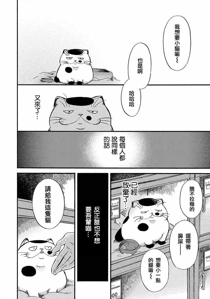 《大叔与猫》漫画最新章节第1话免费下拉式在线观看章节第【2】张图片