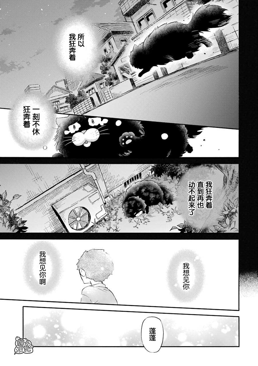 《大叔与猫》漫画最新章节第51话免费下拉式在线观看章节第【9】张图片