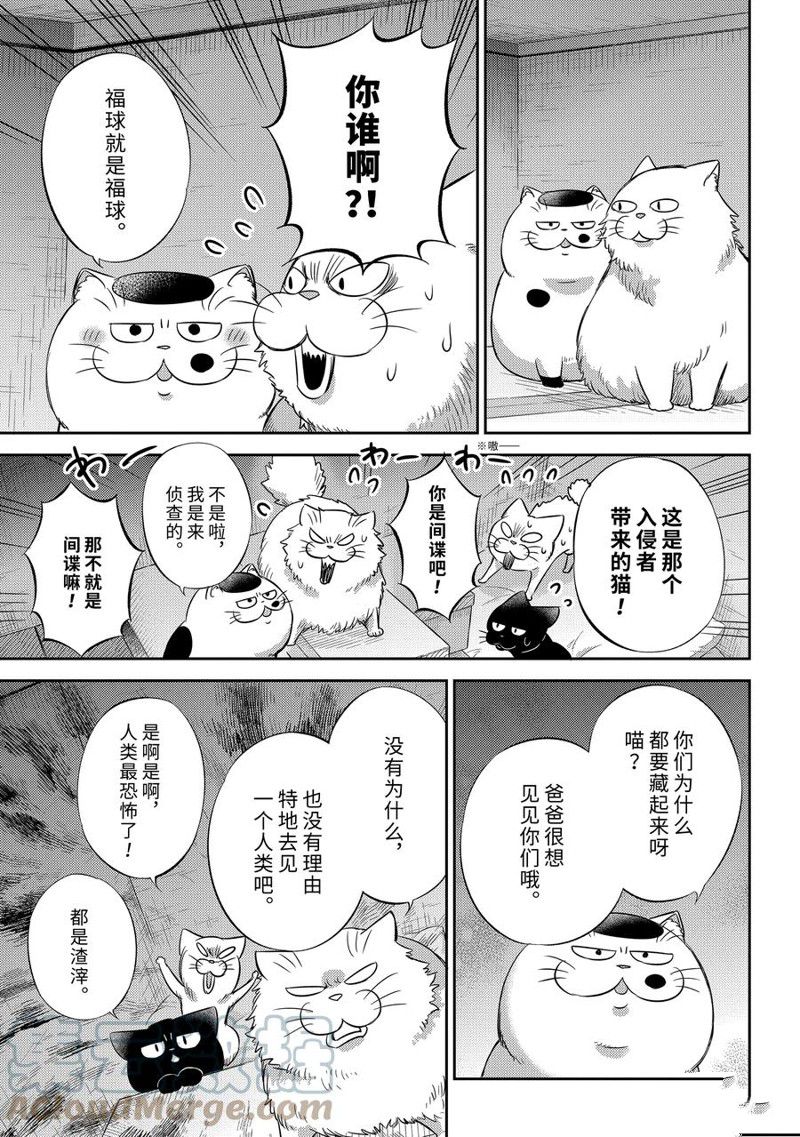 《大叔与猫》漫画最新章节第96话 试看版免费下拉式在线观看章节第【9】张图片