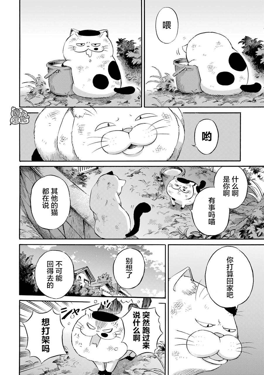 《大叔与猫》漫画最新章节第56.1话免费下拉式在线观看章节第【2】张图片