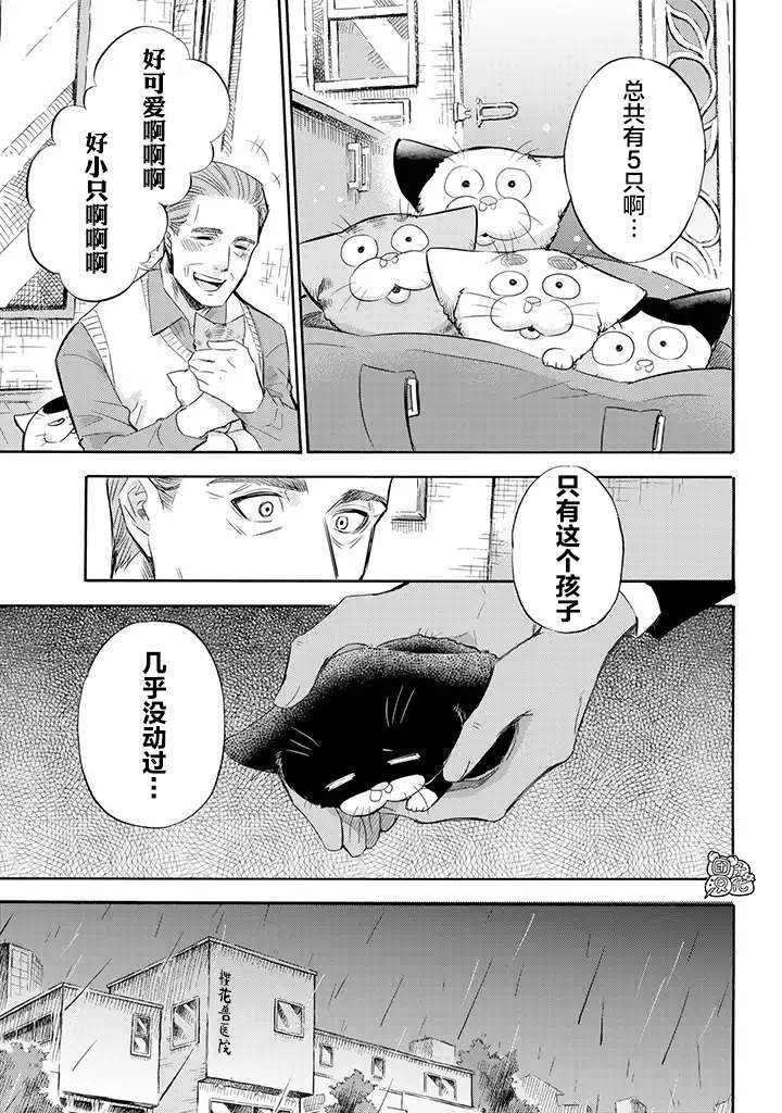 《大叔与猫》漫画最新章节第69话免费下拉式在线观看章节第【3】张图片