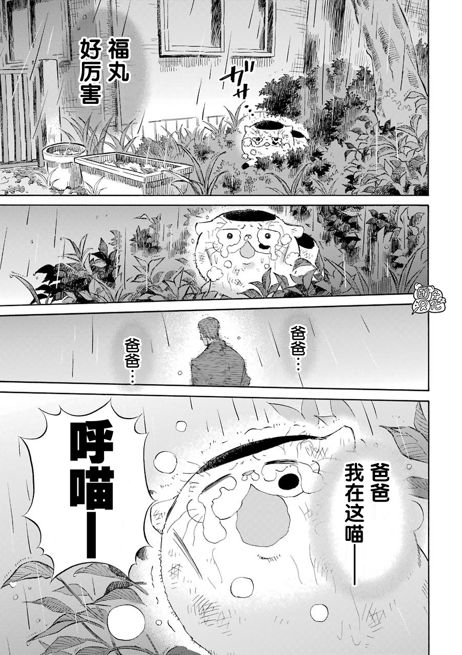 《大叔与猫》漫画最新章节第54话免费下拉式在线观看章节第【17】张图片