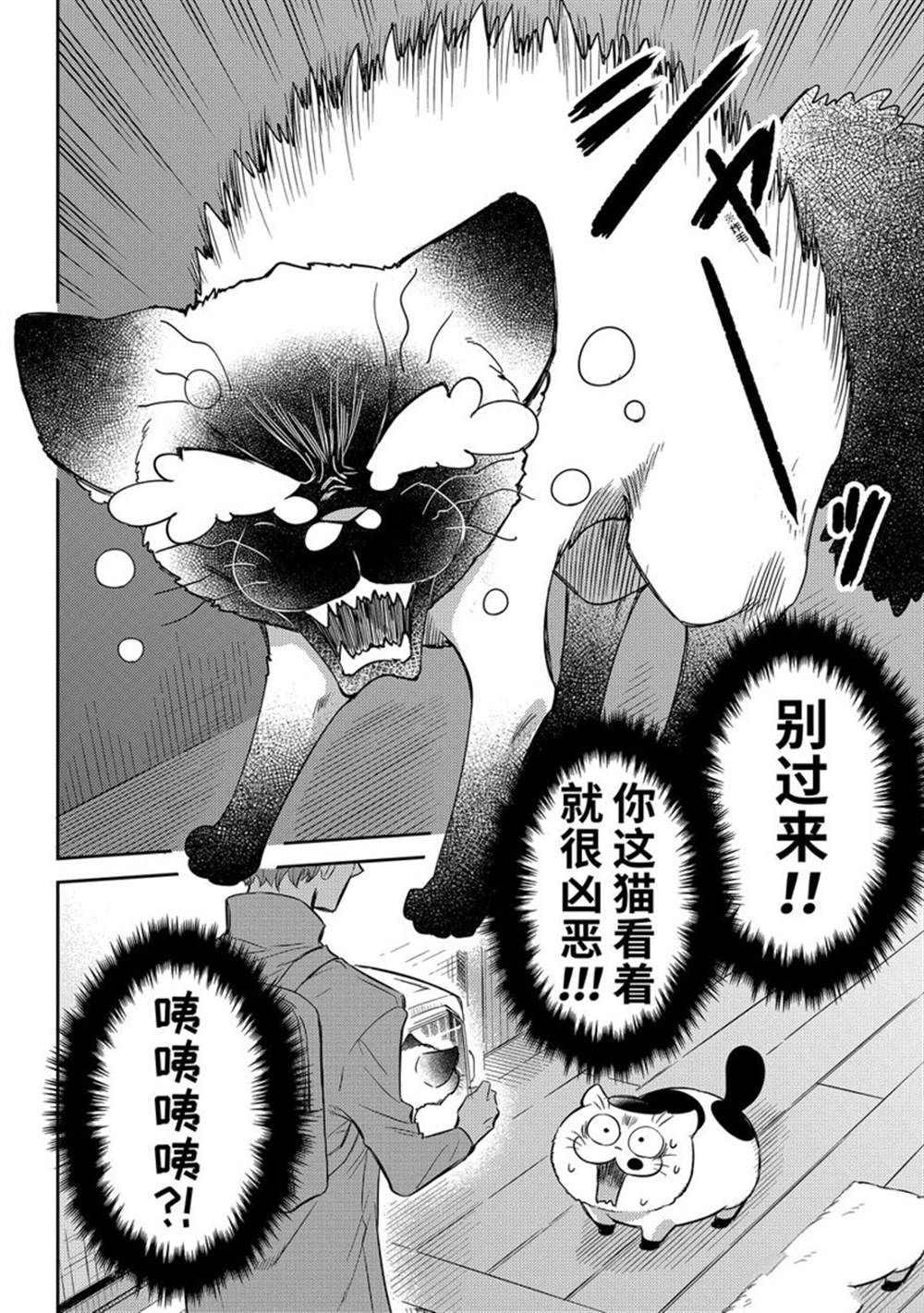 《大叔与猫》漫画最新章节第88话 试看版免费下拉式在线观看章节第【8】张图片