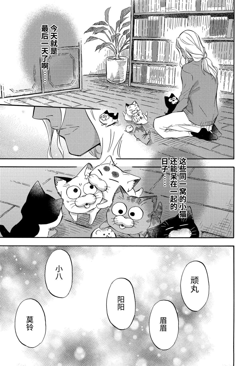 《大叔与猫》漫画最新章节第71话 试看版免费下拉式在线观看章节第【19】张图片