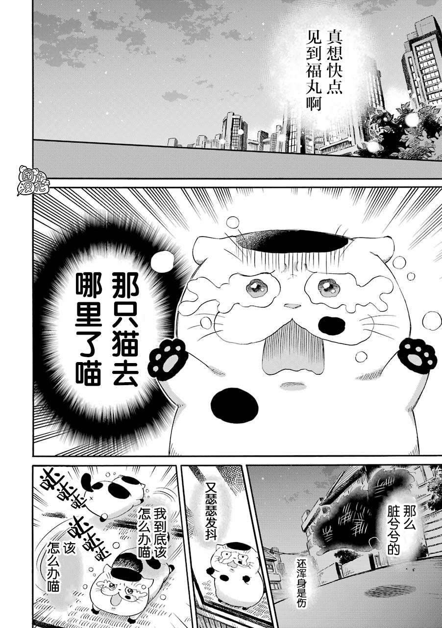 《大叔与猫》漫画最新章节第49话免费下拉式在线观看章节第【4】张图片