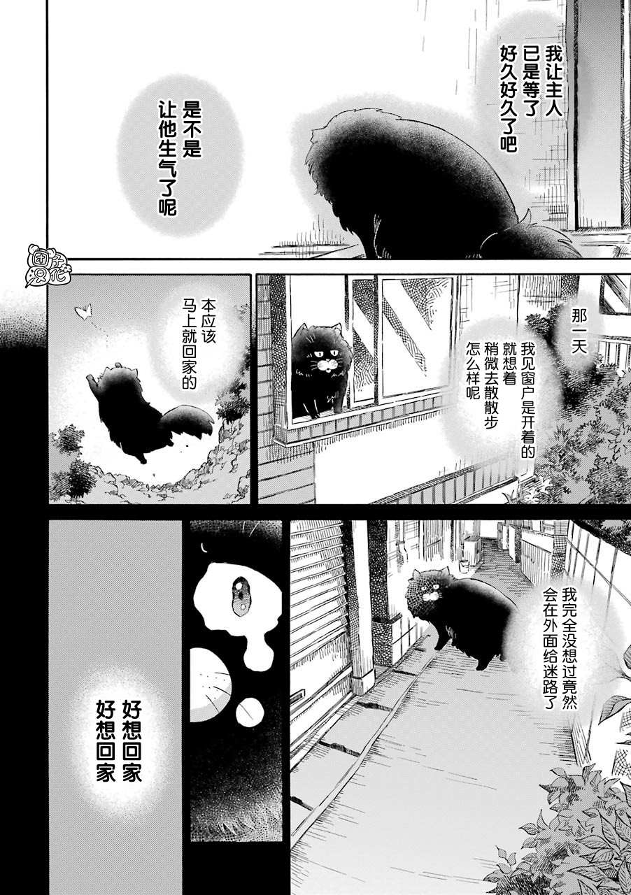 《大叔与猫》漫画最新章节第51话免费下拉式在线观看章节第【8】张图片