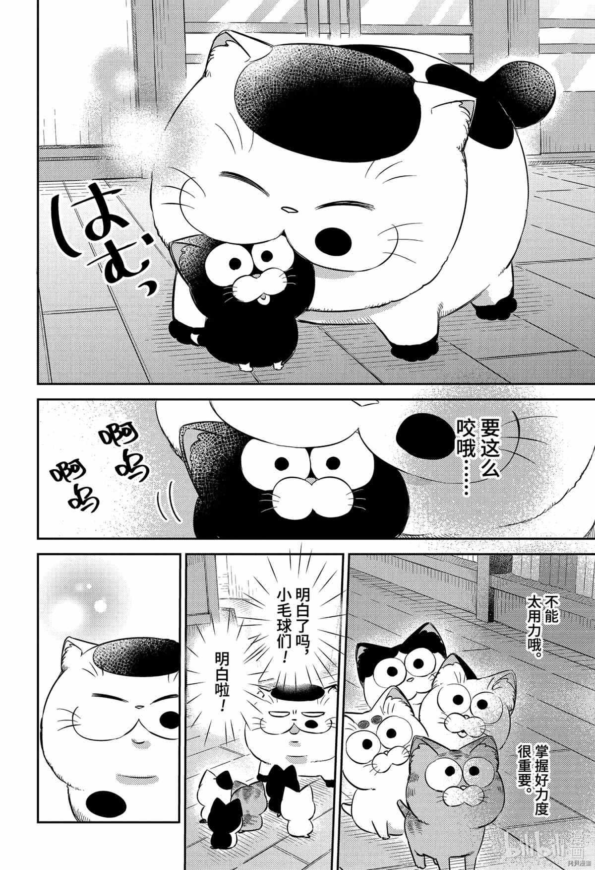 《大叔与猫》漫画最新章节第82话 试看版免费下拉式在线观看章节第【12】张图片