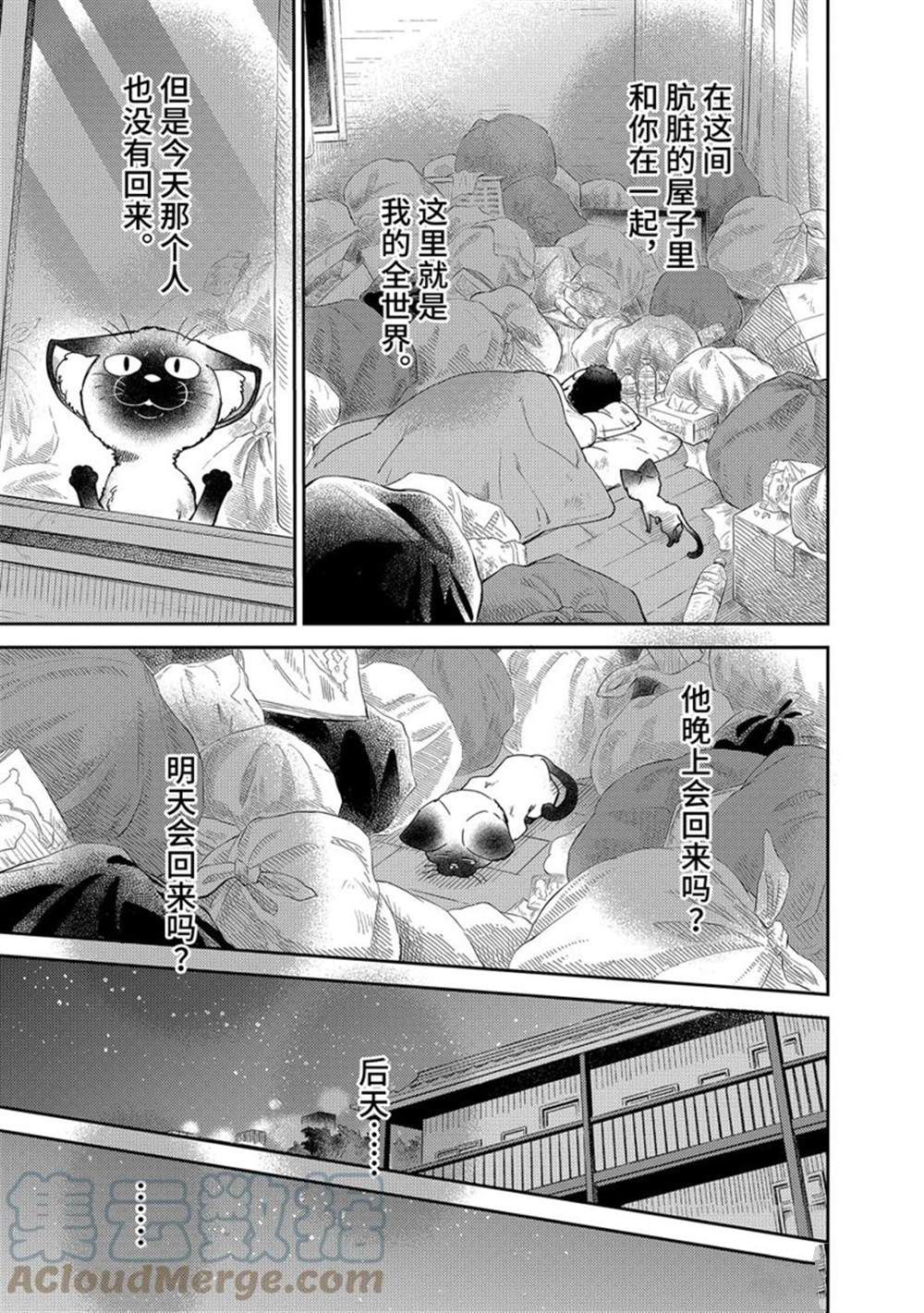 《大叔与猫》漫画最新章节第87话 试看版免费下拉式在线观看章节第【3】张图片