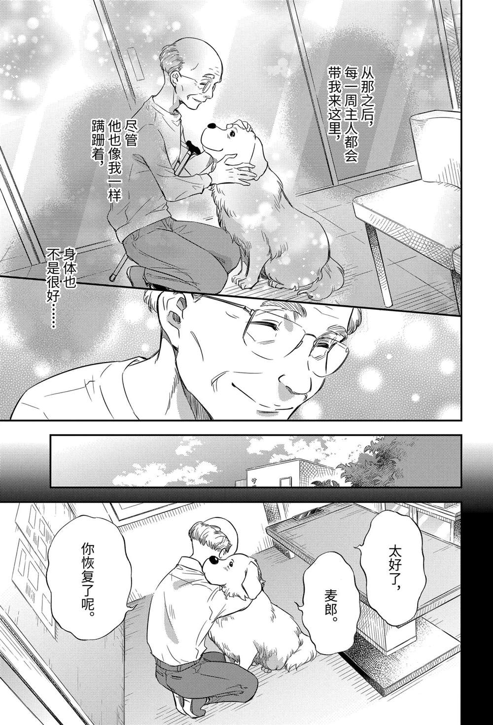 《大叔与猫》漫画最新章节第81话 试看版免费下拉式在线观看章节第【19】张图片