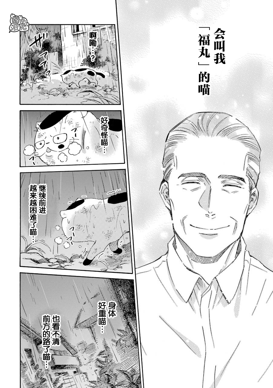 《大叔与猫》漫画最新章节第54话免费下拉式在线观看章节第【8】张图片