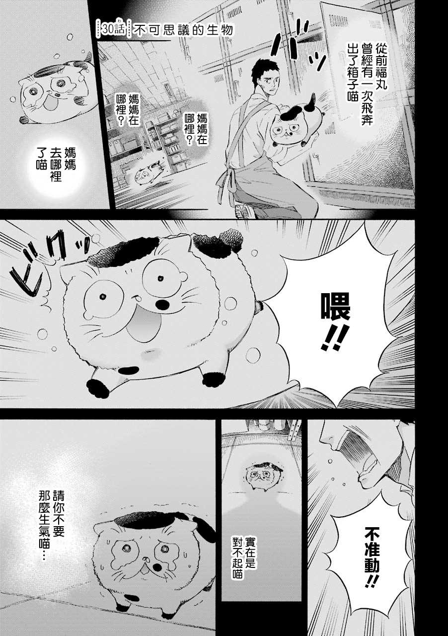 《大叔与猫》漫画最新章节第32话免费下拉式在线观看章节第【5】张图片