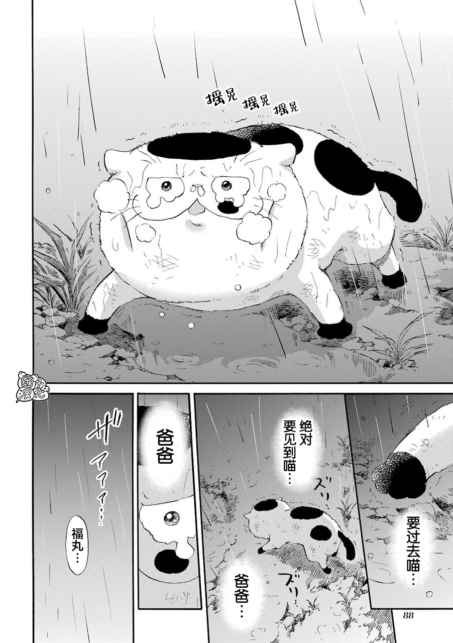 《大叔与猫》漫画最新章节第54话免费下拉式在线观看章节第【12】张图片