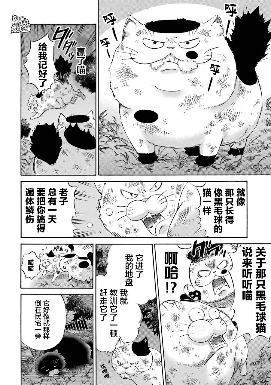 《大叔与猫》漫画最新章节第52话免费下拉式在线观看章节第【6】张图片