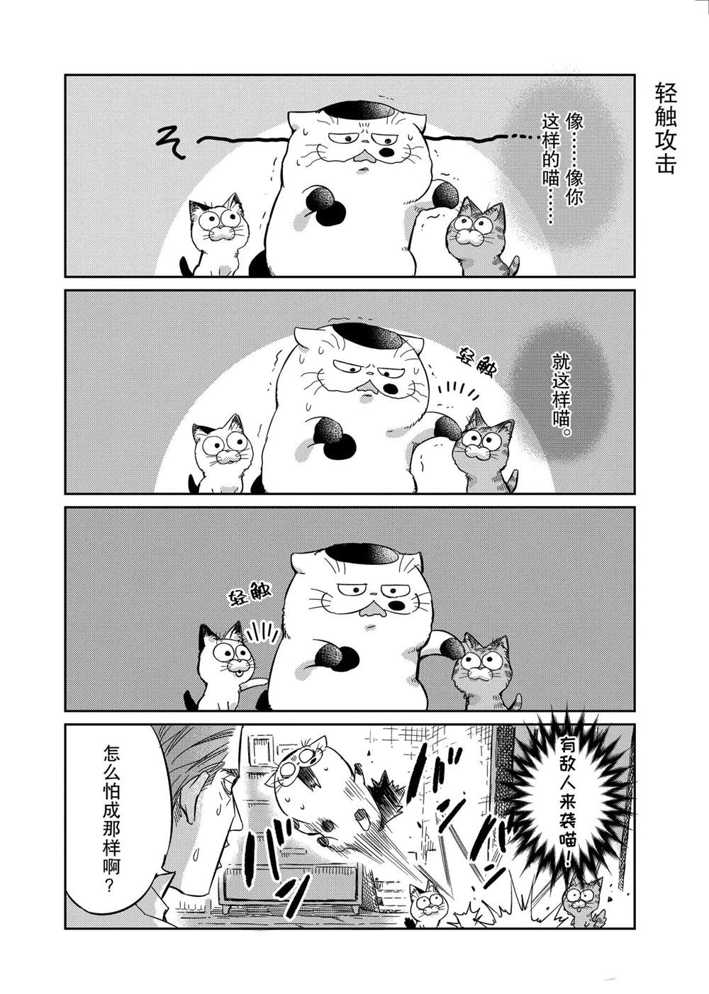 《大叔与猫》漫画最新章节第71.5话 试看版免费下拉式在线观看章节第【2】张图片