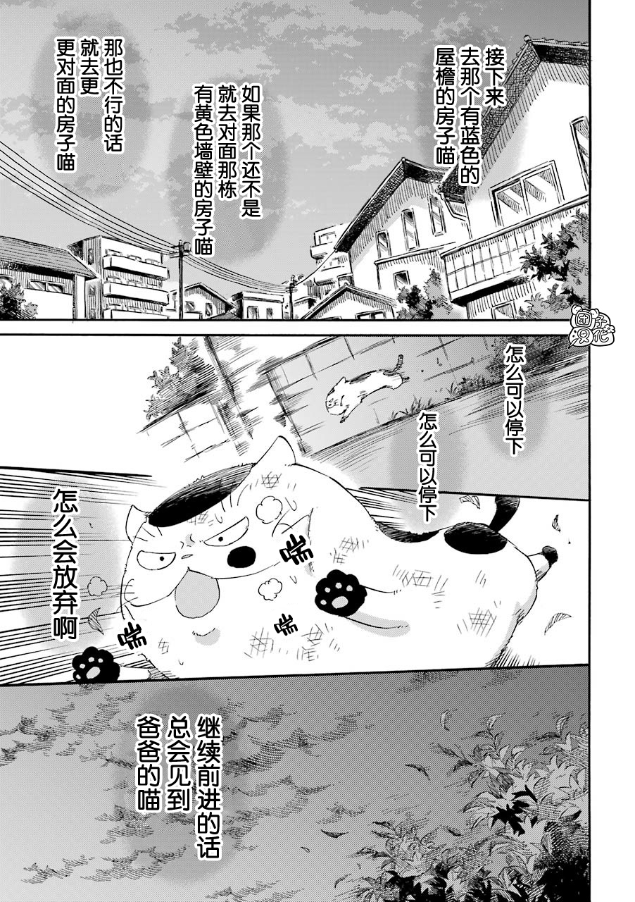 《大叔与猫》漫画最新章节第54话免费下拉式在线观看章节第【5】张图片