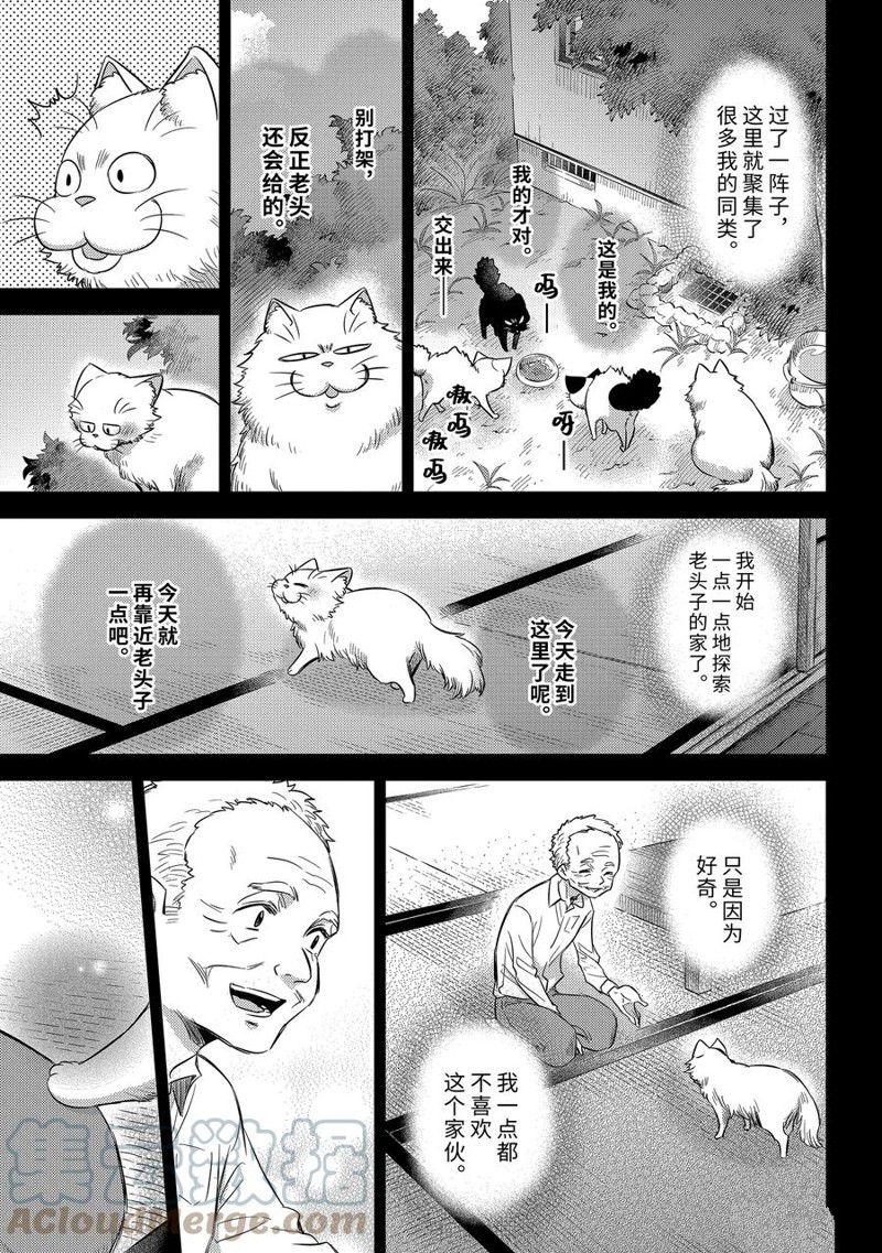 《大叔与猫》漫画最新章节第96话 试看版免费下拉式在线观看章节第【19】张图片