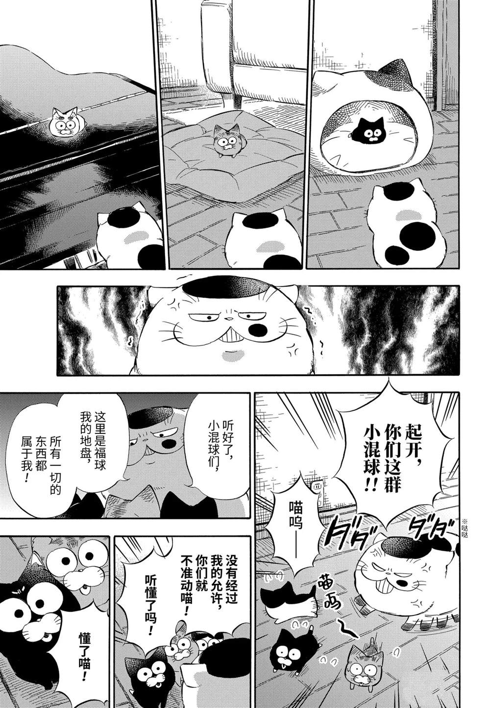 《大叔与猫》漫画最新章节第73话 试看版免费下拉式在线观看章节第【3】张图片