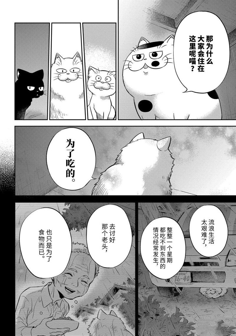《大叔与猫》漫画最新章节第96话 试看版免费下拉式在线观看章节第【10】张图片
